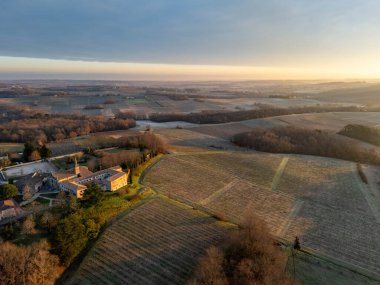 Bordeaux üzüm bağının kışın Rions, Gironde, Fransa 'daki hava manzarası. Yüksek kalite fotoğraf