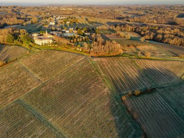 Bordeaux üzüm bağının kışın Rions, Gironde, Fransa 'daki hava manzarası. Yüksek kalite fotoğraf