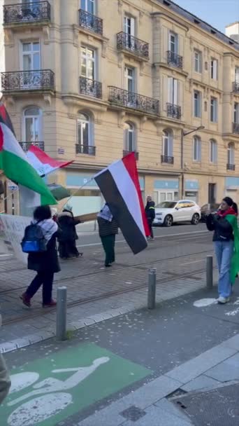 Μπορντό Γαλλία Ιανουάριος 2024 Παλαιστίνη Πορεία Διαμαρτυρίας Στην Πόλη Μπορντό — Αρχείο Βίντεο