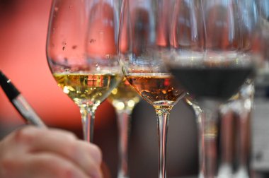 Profesyonel tatma, şarap kadehleri, kırmızı, pembe, bardakta beyaz şarap. Kırmızı, beyaz ve gül şarabı ve kaliteli bir fotoğraf seti.