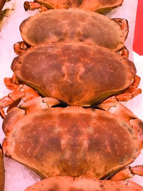 Süpermarkette satılık yengeçler, deniz ürünleri, kaliteli fotoğraflar.