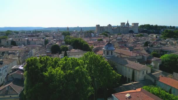 Avignon France Aerial View Palais Des Papes Papal Palace Medieval Видеоклип