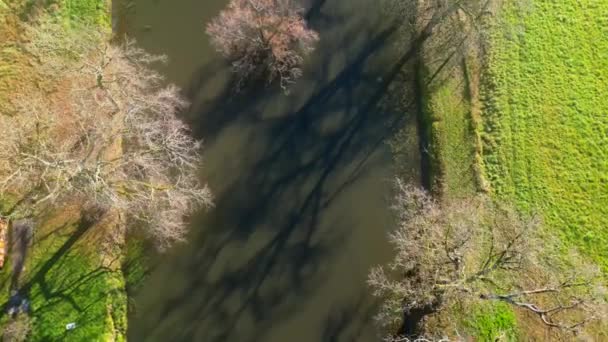 真っ赤な葉のない木を通して冬の湖の空中眺め 高品質の4K映像 動画クリップ
