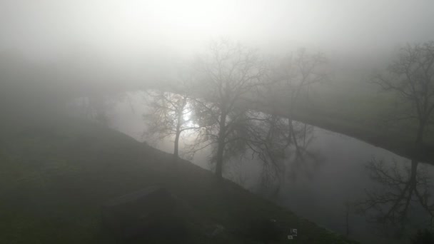真っ白な葉のない木々を通して霧の中の冬の湖の空中眺め 高品質の4K映像 ロイヤリティフリーストック映像