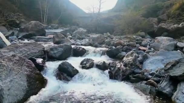 Fiume Acqua Bianca Che Snoda Nelle Foreste Invernali Nelle Montagne — Video Stock
