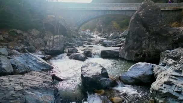 ピレネー山脈の冬の森で白い水の川の牧草 良質の4K映像 ストック動画