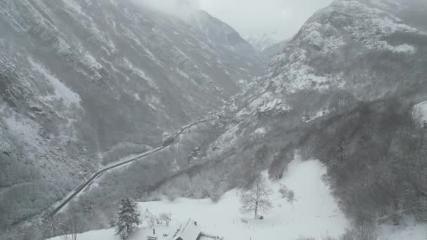 Clima Nevoso Nella Foresta Montagna Clima Freddo Riprese Alta Qualità — Video Stock