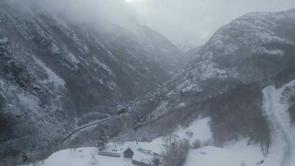 Снежная Погода Горах Forest Cold Погода Высокое Качество Съемки — стоковое видео