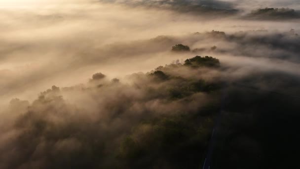 在法国吉隆德里昂斯 日出时分 波尔多葡萄园的空中景色被雾笼罩 高质量的4K镜头 视频剪辑