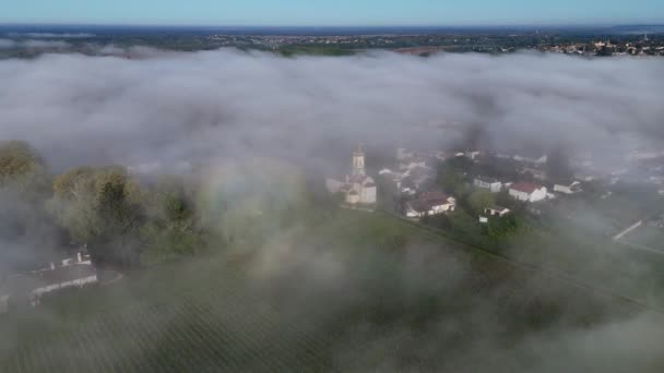 Letecký Pohled Vinici Bordeaux Jaře Pod Mlhou Loupiac Gironde Francie — Stock video