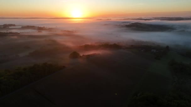 在法国吉隆德里昂斯 日出时分 波尔多葡萄园的空中景色被雾笼罩 高质量的4K镜头 免版税图库视频