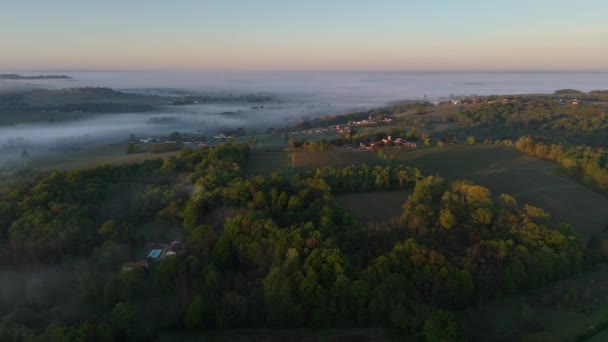 法国吉隆德里昂斯 春天在雾中俯瞰波尔多葡萄园 高质量的4K镜头 视频剪辑