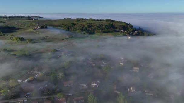 フォグ ライオンズ ジロンド フランスで春にボルドーのブドウ園の空中ビュー 高品質の4K映像 ストック動画