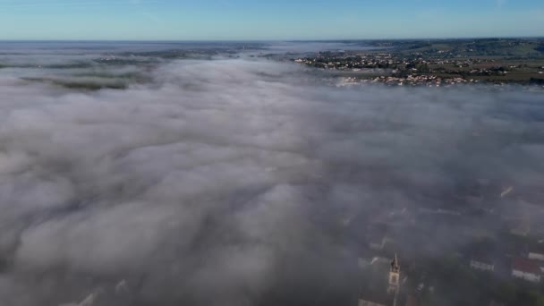 Vista Aérea Del Viñedo Burdeos Primavera Bajo Niebla Loupiac Gironda — Vídeo de stock