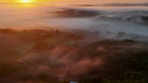 在法国吉隆德里昂斯 日出时分 波尔多葡萄园的空中景色被雾笼罩 高质量的4K镜头 — 图库视频影像