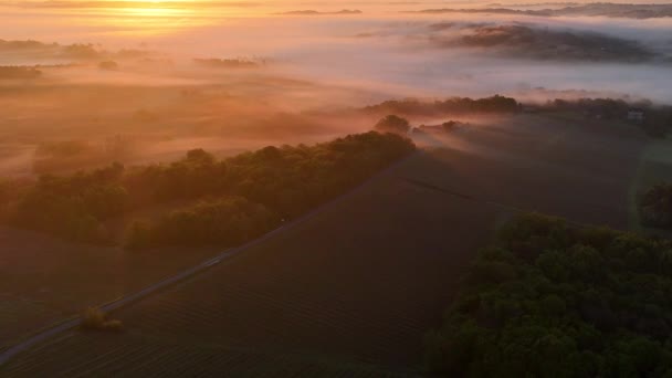在法国吉隆德里昂斯 日出时分 波尔多葡萄园的空中景色被雾笼罩 高质量的4K镜头 图库视频