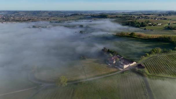 Vista Aérea Del Viñedo Burdeos Primavera Bajo Niebla Loupiac Gironda — Vídeo de stock