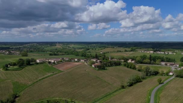 春の日の出 ボルドーヴィニヤード ランゴイラン ジロンド フランス 高品質の4K映像でのブドウ畑の空撮 ストック映像