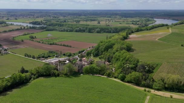 春の日の出 ボルドーヴィニヤード ランゴイラン ジロンド フランス 高品質の4K映像でのブドウ畑の空撮 ストック動画