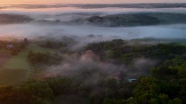 Bordeaux üzüm bağının sisli Rions, Gironde, Fransa 'daki gündoğumunda hava manzarası. Yüksek kalite 4k görüntü