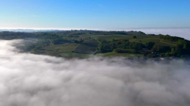 Baharda Bordeaux üzüm bağının sisli havadan görünüşü, Sainte Croix du Mont, Gironde, Fransa. Yüksek kalite 4k görüntü