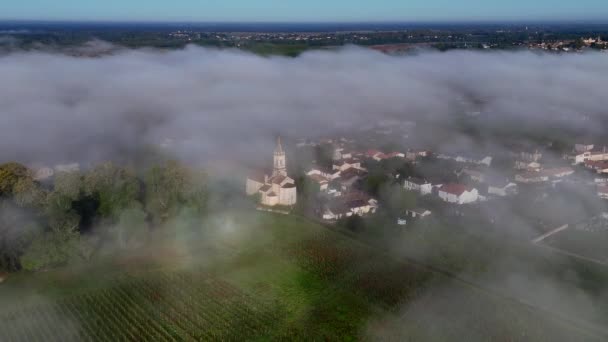 Vista Aérea Del Viñedo Burdeos Primavera Bajo Niebla Loupiac Gironda — Vídeos de Stock