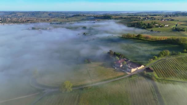 Luchtfoto Van Bordeaux Wijngaard Lente Onder Mist Loupiac Gironde Frankrijk — Stockvideo