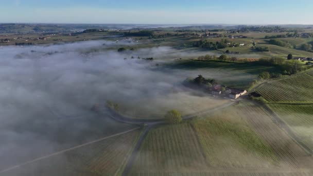 Vista Aérea Del Viñedo Burdeos Primavera Bajo Niebla Rions Gironda — Vídeo de stock