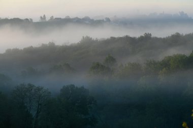 Bordeaux üzüm bağının sisli Rions, Gironde, Fransa 'daki gündoğumunda hava manzarası. Yüksek kalite fotoğraf