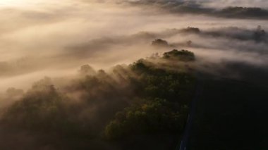 Bordeaux üzüm bağının sisli Rions, Gironde, Fransa 'daki gündoğumunda hava manzarası. Yüksek kalite 4k görüntü