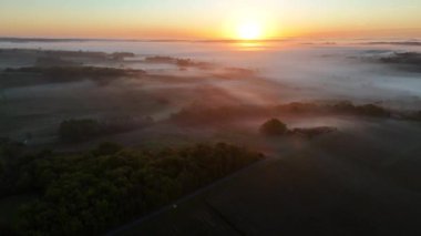Bordeaux üzüm bağının sisli Rions, Gironde, Fransa 'daki gündoğumunda hava manzarası. Yüksek kalite 4k görüntü