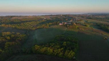 Bordeaux üzüm bağının ilkbaharda sis altındaki hava manzarası, Rions, Gironde, Fransa. Yüksek kalite 4k görüntü