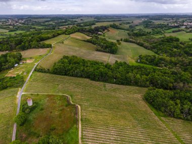 Bordeaux üzüm bağının hava manzarası bulutlu gökyüzü altında, Rions, Gironde, Fransa. Yüksek kalite fotoğraf