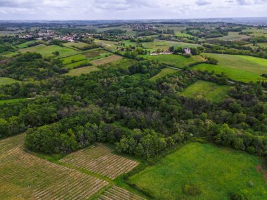 Bordeaux üzüm bağının hava manzarası bulutlu gökyüzü altında, Rions, Gironde, Fransa. Yüksek kalite fotoğraf