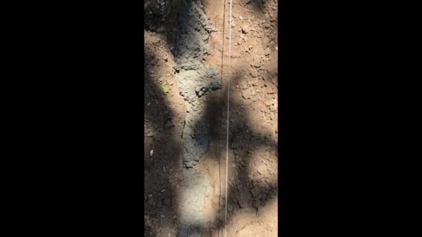 Mengatur Batas Tepi Membeli Menempatkan Batas Batu Pinggir Jalan Beton — Stok Video