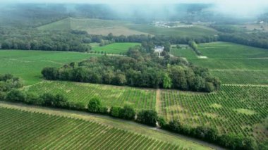 Bordeaux üzüm bağının sis, Targon, Gironde, Fransa 'daki hava manzarası. Yüksek kalite 4k görüntü
