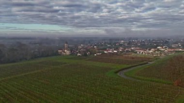 FRANCE, GIRONDE, LOUPIAC, AERİAL VILLAGE VE VINEYARD, BORDEAUX VINEYARD, FRANCE. Yüksek kalite 4k görüntü