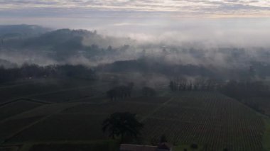 AERİAL VINEYARD, BORDEAUX VINEYARD, FRANCE, FRANCE, yüksek kaliteli 4K görüntü
