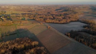 Bordeaux üzüm bağının kışın hava manzarası, Rions, Gironde, Fransa. Yüksek kalite 4k görüntü