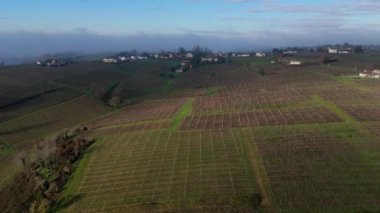 AERİAL VINEYARD, BORDEAUX VINEYARD, FRANCE, FRANCE, yüksek kaliteli 4K görüntü
