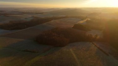 Bordeaux üzüm bağının kışın hava manzarası, Rions, Gironde, Fransa. Yüksek kalite 4k görüntü