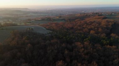 Bordeaux üzüm bağının kışın hava manzarası, Rions, Gironde, Fransa. Yüksek kalite 4k görüntü