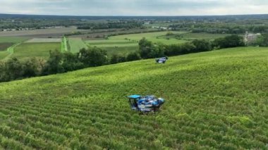 Bordeaux Vineyard, Langoiran 'daki üzüm biçme makinesinin hava görüntüsü. Yüksek kalite 4k görüntü