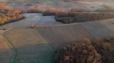 Bordeaux üzüm bağının kışın hava manzarası, Rions, Gironde, Fransa. Yüksek kalite 4k görüntü