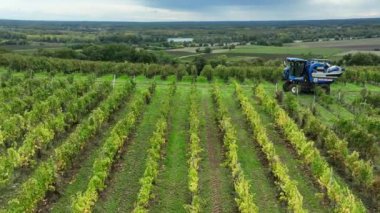 Bordeaux Vineyard, Langoiran 'daki üzüm biçme makinesinin hava görüntüsü. Yüksek kalite 4k görüntü