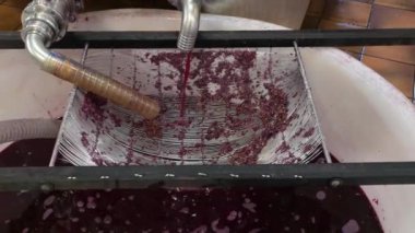 Şarap fabrikası, şarap mahzeninde şarap üretirken üzüm suyu havası, Bordeaux Vineyard, Fransa. Yüksek kalite 4k görüntü