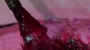 Şarap fabrikası, şarap mahzeninde şarap üretirken üzüm suyu havası, Bordeaux Vineyard, Fransa. Yüksek kalite 4k görüntü