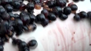 Şarap yapımı. Şarap üretimi. Üzümlerden meyve suyu sıkıyorum. Yüksek kalite 4k görüntü