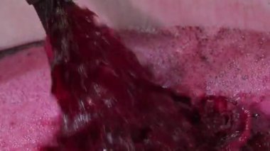 Şarap fabrikası, şarap mahzeninde şarap üretirken üzüm suyu havası, Bordeaux Vineyard, Fransa. Yüksek kalite 4k görüntü