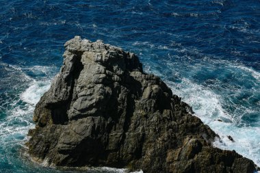 Porquerolles engebeli kayalıkları Akdeniz 'in berrak ve kaliteli fotoğraflarıyla buluşuyor.